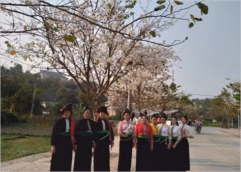 La beauté des fleurs du mois de mars ảnh 5