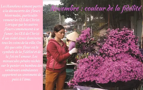 Les fleurs de Hanoï au gré des saisons ảnh 12