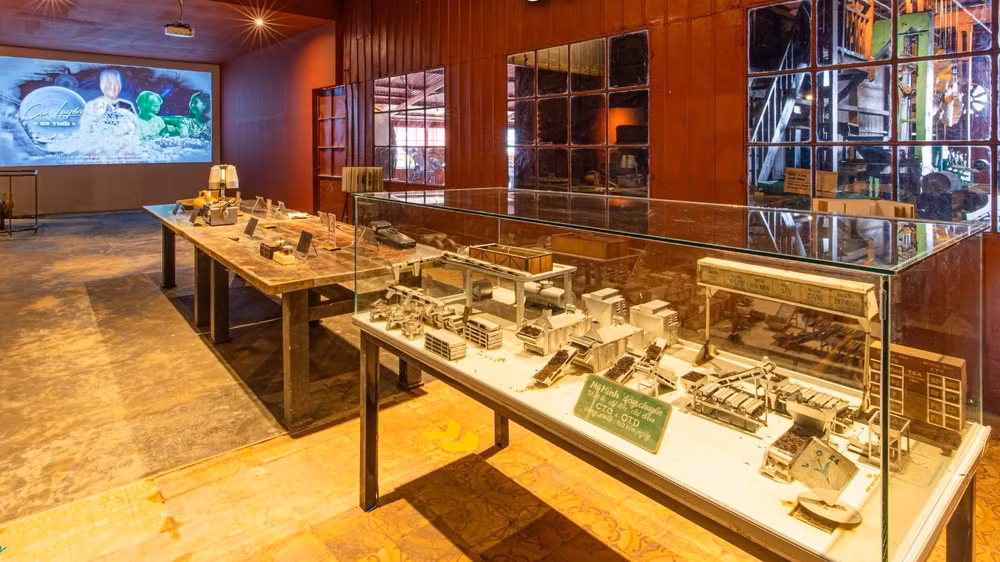 Le premier musée du thé du Vietnam se trouve à Da Lat ảnh 1