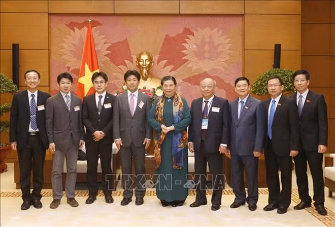 La vice-présidente de l’AN Tong Thi Phong reçoit des experts japonais de la santé ảnh 1