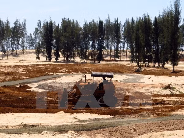 Ninh Thuan restaure les forêts protectrices des bassins versants ảnh 1