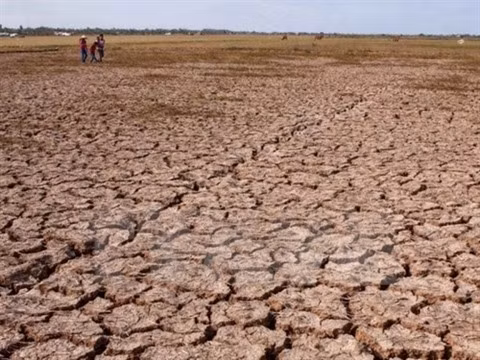 L’agriculture vietnamienne et les changements climatiques ảnh 1