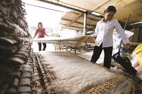 Les vermicelles de tolomane de Minh Hông ảnh 1