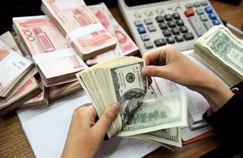 D’importantes pressions sur le taux de change ảnh 1
