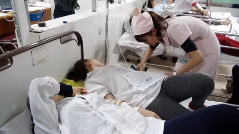 Nécessité des infirmiers pour aider les malades ảnh 1