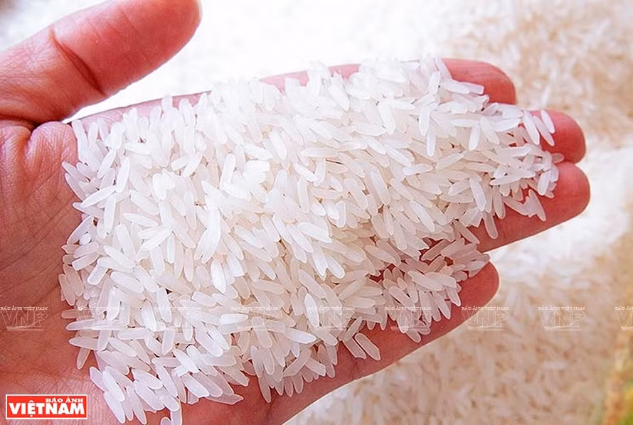 Le prix du riz vietnamien en hausse grâce à une forte demande mondiale ảnh 2
