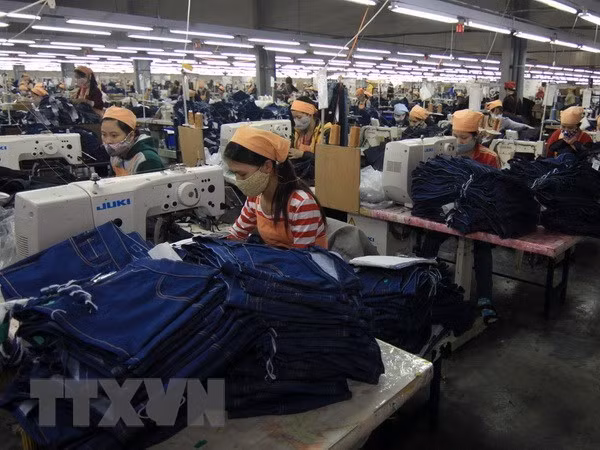 Le consulat général d'Indonésie s'efforce de promouvoir les investissements à Dong Nai ảnh 1