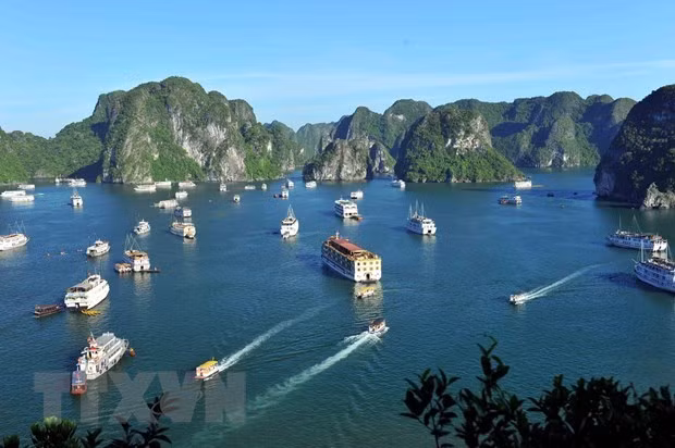 Cérémonie pour honorer la double reconnaissance de la baie d'Ha Long par l'UNESCO ảnh 1