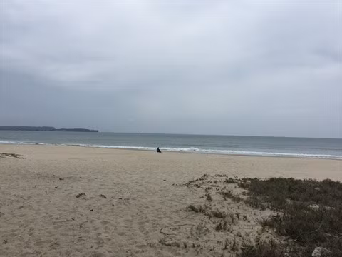 La plage de My Khê, une destination idéale pour se ressourcer ảnh 1 La plage de My Khê, une destination idéale pour se ressourcer ảnh 1