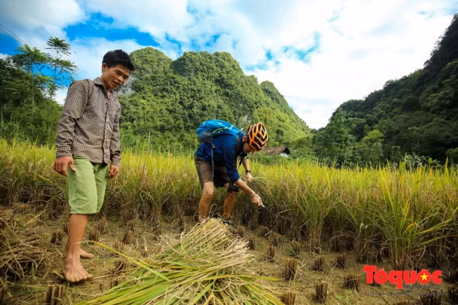 Politiques de visa touristique de Dà Nang ảnh 1 Politiques de visa touristique de Dà Nang ảnh 1