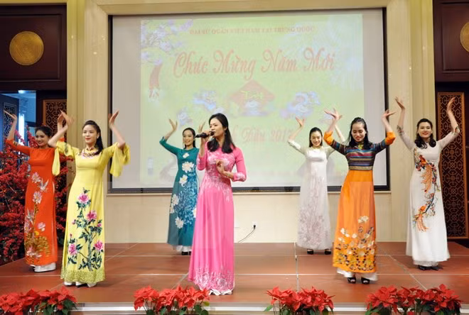 Les Vietnamiens de Chine et du Mozambique fêtent le Têt traditionnel ảnh 1