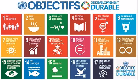 Développement durable : de l’engagement à l’action ảnh 1 Développement durable : de l’engagement à l’action ảnh 1