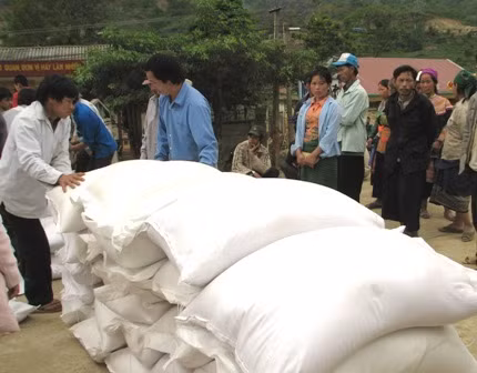 Têt lunaire 2017: plus de 1.100 tonnes de riz pour Gia Lai et Dak Lak ảnh 1 Têt lunaire 2017: plus de 1.100 tonnes de riz pour Gia Lai et Dak Lak ảnh 1