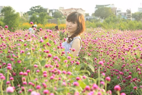 Les fleurs «oubliées» font leur retour ảnh 3
