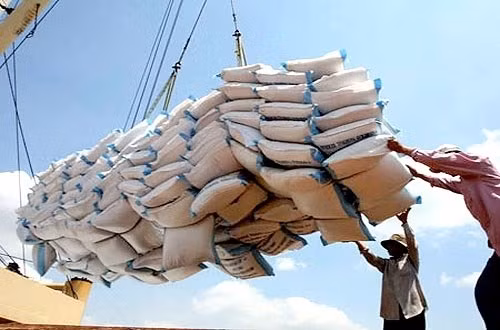 Le Vietnam continue de vendre 1,5 million de tonnes de riz par an aux Philippines ảnh 1