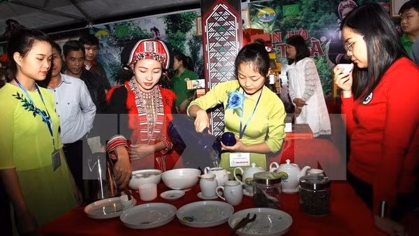 Festival du thé bio à Hà Giang ảnh 1 Festival du thé bio à Hà Giang ảnh 1