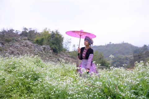 Les fleurs «oubliées» font leur retour ảnh 1