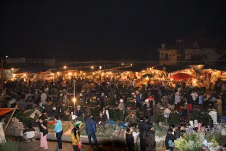 Les marchés aux fleurs de Hanoi ảnh 2