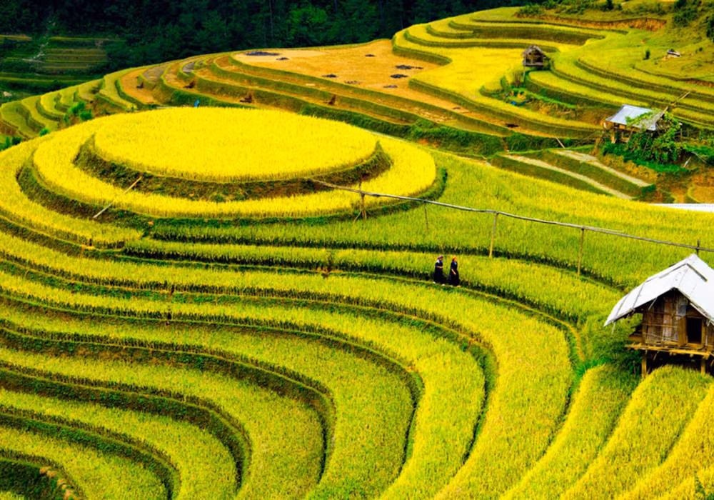 Le Vietnam parmi les dix destinations touristiques à visiter en 2017 ảnh 1 Le Vietnam parmi les dix destinations touristiques à visiter en 2017 ảnh 1