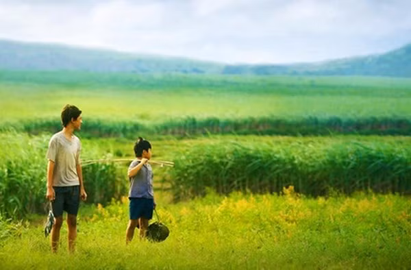 Un festival du film francophone au Vietnam ảnh 1