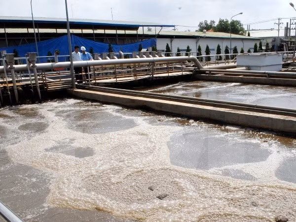 Approbation d'un projet de traitement des eaux usées financé par la BM ảnh 1