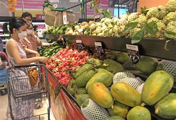 Développement d’un commerce intérieur moderne, durable et à croissance rapide ảnh 2 Développement d’un commerce intérieur moderne, durable et à croissance rapide ảnh 2