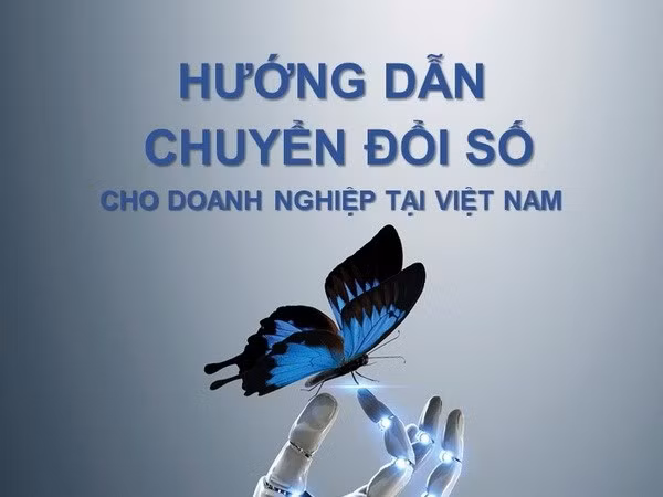 Publication d’un guide de la transformation numérique pour les entreprises ảnh 1