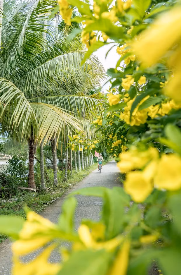 Pourquoi les Vietnamiens choisissent-ils le tourisme durable après la crise sanitaire ? ảnh 3 Pourquoi les Vietnamiens choisissent-ils le tourisme durable après la crise sanitaire ? ảnh 3