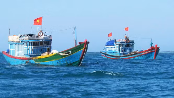 Ben Tre applique des sanctions sévères pour lutter contre la pêche INN ảnh 1