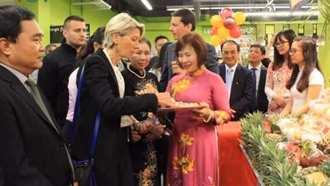 Succès de la semaine des produits vietnamiens à Lyon (France) ảnh 1