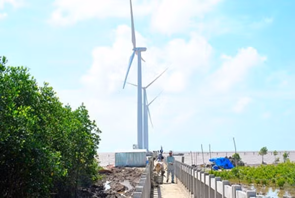 Coopération pour le développement de l’électricité éolienne au Vietnam ảnh 1 Coopération pour le développement de l’électricité éolienne au Vietnam ảnh 1