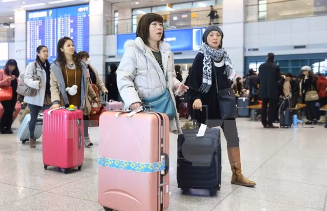 Le Vietnam parmi les cinq premiers pays demandeurs de visa d​'entrée au Japon en 2015 ảnh 1