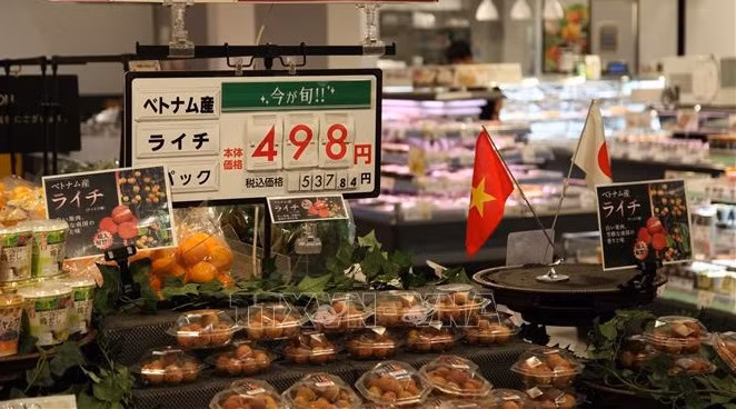 Le Vietnam stimule la production agricole conformément aux normes internationales ảnh 1