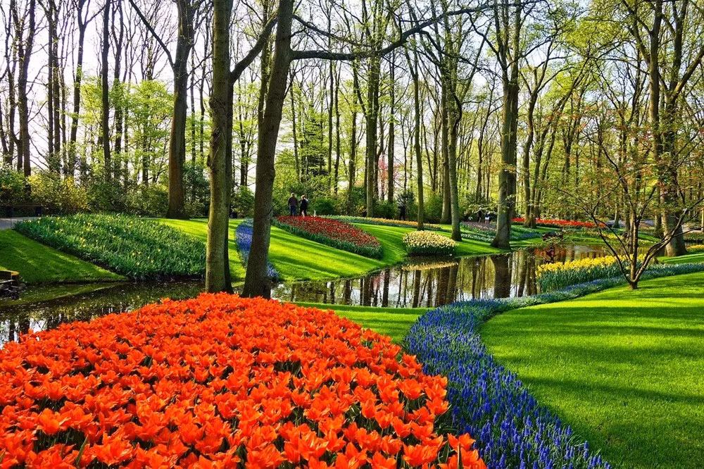 Dà Lat parmi les plus beaux endroits du monde où admirer les fleurs, selon Booking.com ảnh 2