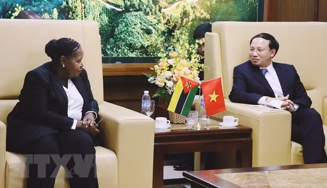 Promouvoir la coopération entre Quang Ninh et le Mozambique dans l’investissement et le tourisme ảnh 1