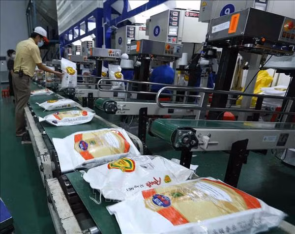 Bon signe pour les exportations de riz d’ici la fin de l’année ảnh 2 Bon signe pour les exportations de riz d’ici la fin de l’année ảnh 2