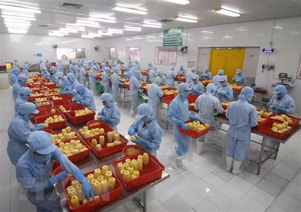 Les exportations du Vietnam vers la Hongrie en hausse ảnh 1 Les exportations du Vietnam vers la Hongrie en hausse ảnh 1