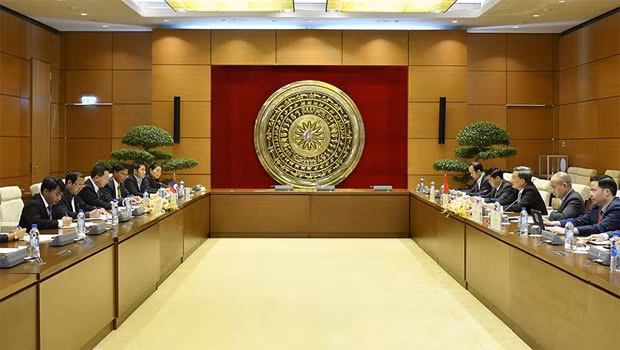 Vietnam-Laos : Renforcement de la coopération entre des Commissions des Assemblées nationales ảnh 1