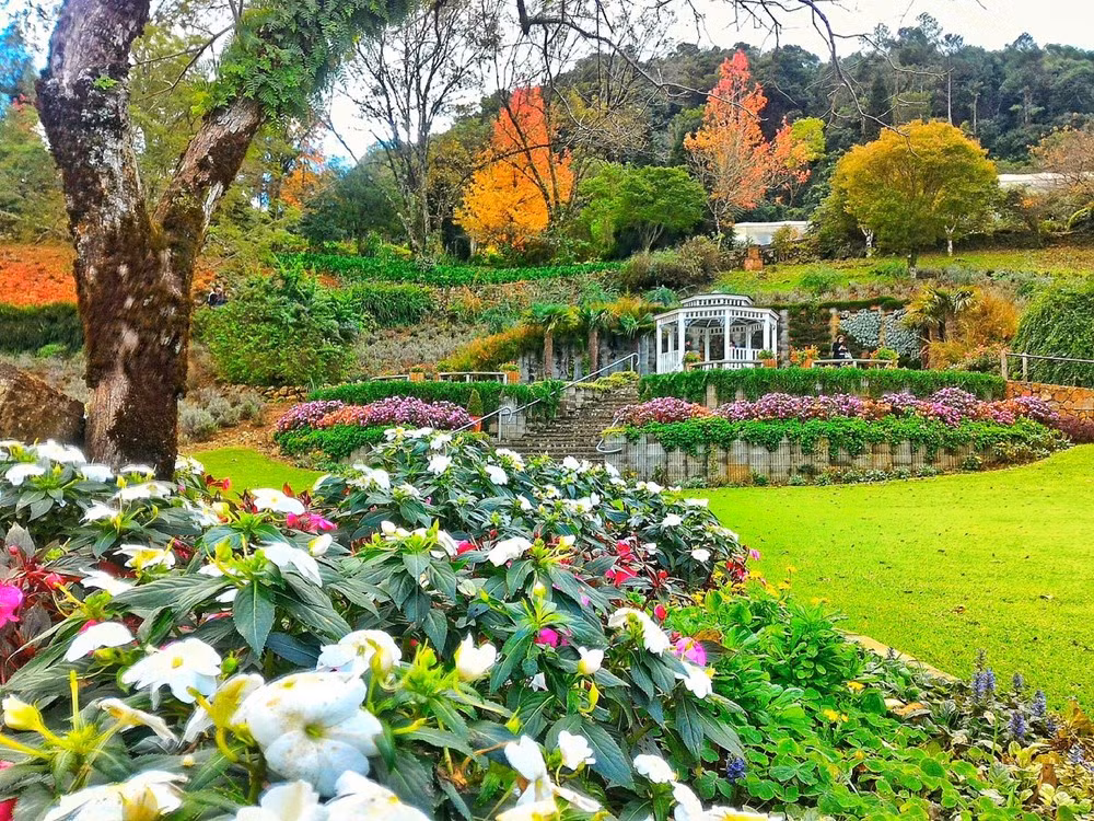 Dà Lat parmi les plus beaux endroits du monde où admirer les fleurs, selon Booking.com ảnh 4