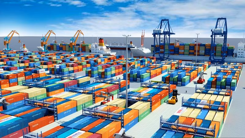 Exportations vers l'Amérique: une "opportunité en or" pendant la pandémie ảnh 1