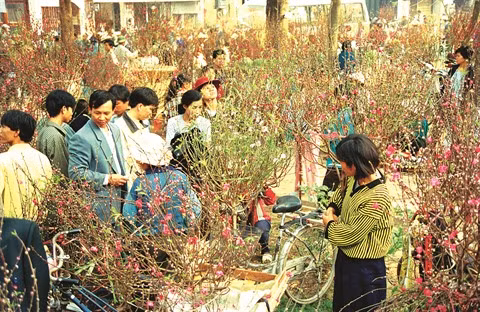  Le marché du Têt, une belle tradition des Vietnamiens ảnh 1
