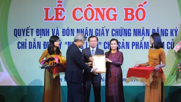 Kon Tum : certificat d’indication géographique pour le ginseng de Ngoc Linh ảnh 1