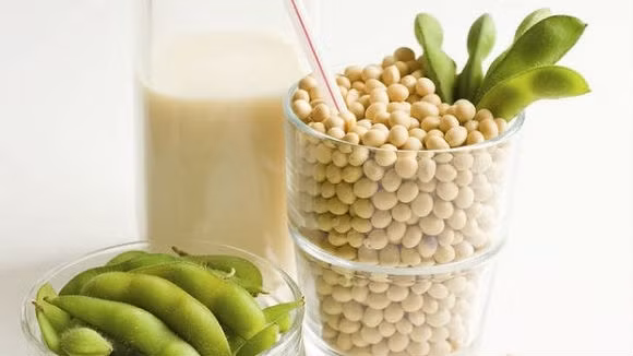 «Nutrition salubre pour la santé des enfants» ảnh 1