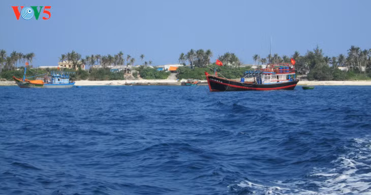 Ly Son: "ouverture de la mer" pour souhaiter la prospérité ảnh 1