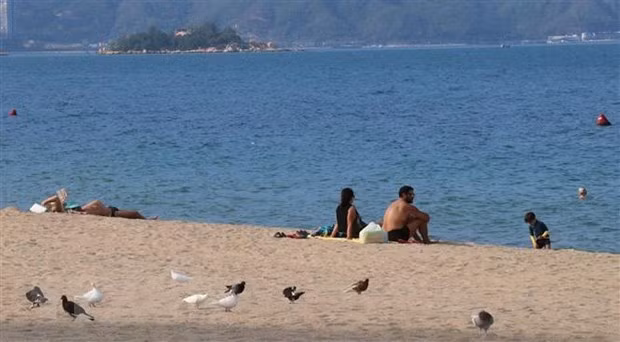 Un webinaire cherche à attirer les touristes espagnols au Vietnam ảnh 1 Un webinaire cherche à attirer les touristes espagnols au Vietnam ảnh 1
