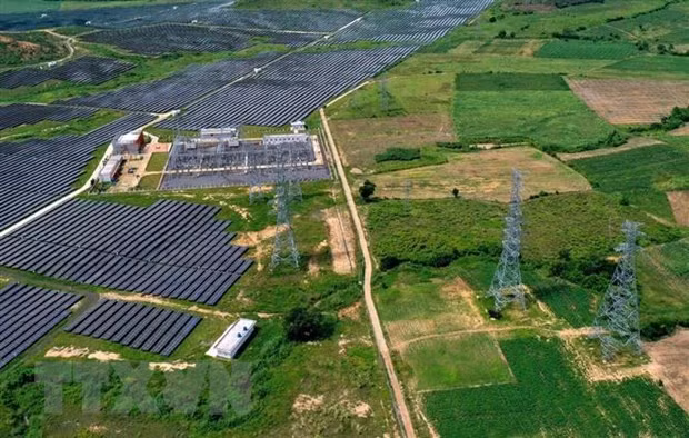 Des millions de dollars investis dans des projets de croissance verte ảnh 2