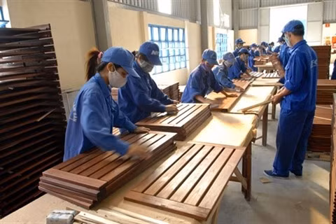 Le Vietnam a exporté près de 12 mds de dollars de bois en neuf mois ảnh 1