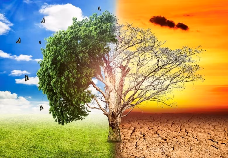 Lancement d’un portail sur le changement climatique pour les jeunes ảnh 1