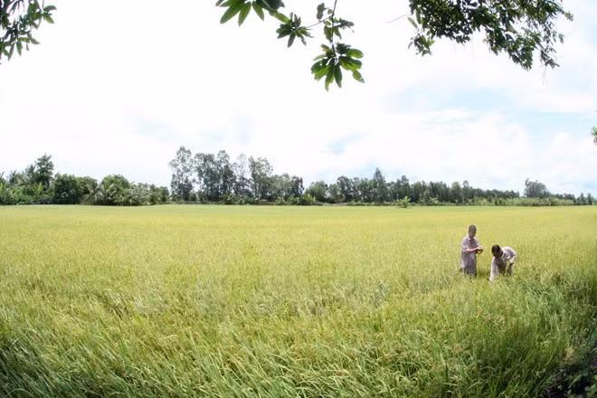 Conjuguer des efforts pour réduire durablement la pauvreté ảnh 1