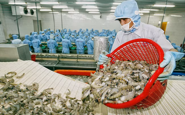 Les exportations nationales de crevettes visent 4 milliards de dollars en 2019 ảnh 1